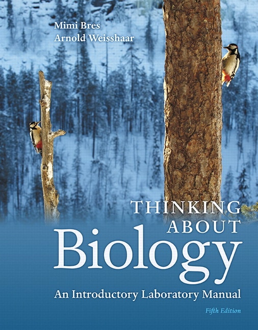 Environmental Psychology 5Th Edition Bell Pdf