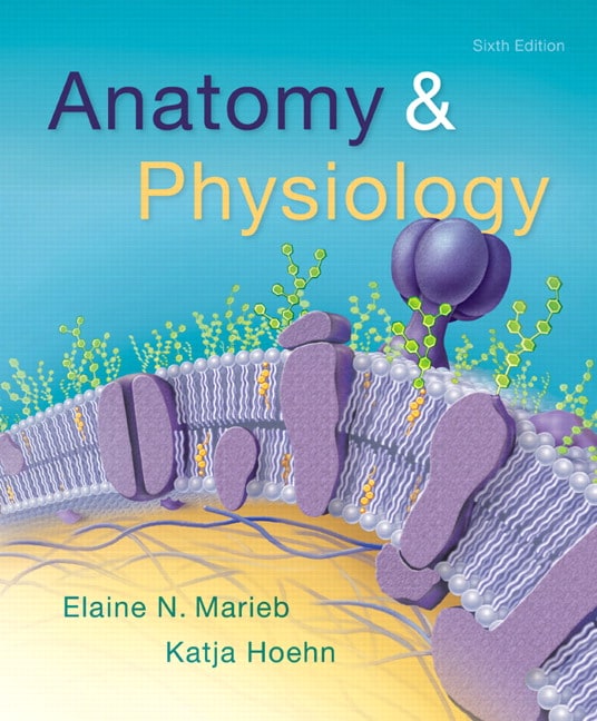 Anatomy & Physiology, 6th Edition